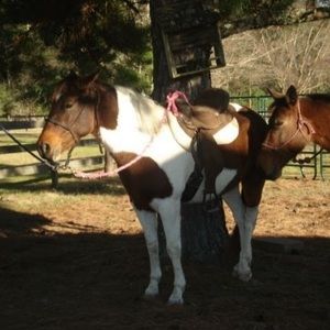 Meet your Posher, Sherry